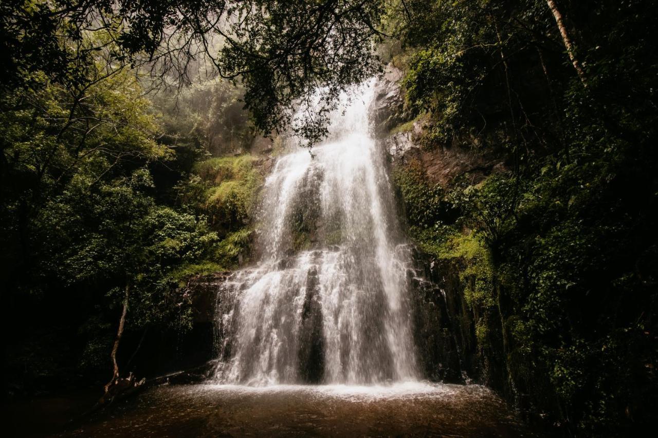 Mount Sheba Rainforest Hotel & Resort พิลกริมส์เรสต์ ภายนอก รูปภาพ