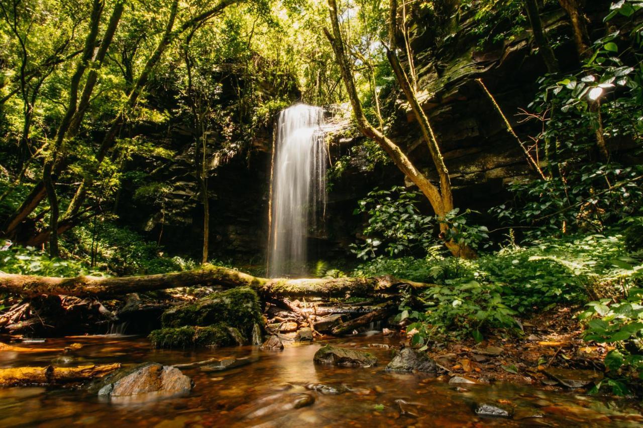 Mount Sheba Rainforest Hotel & Resort พิลกริมส์เรสต์ ภายนอก รูปภาพ